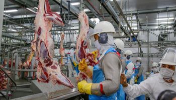 Indonésia habilita 17 novos frigoríficos do Brasil e amplia em 80% a lista para exportar carne bovina