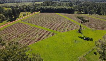 Eliminan un grupo de normas de 1998 que impactan en el agro