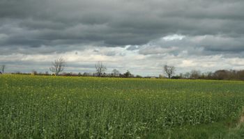 Alerta amarilla por tormentas: qué zonas recibirían un alivio 