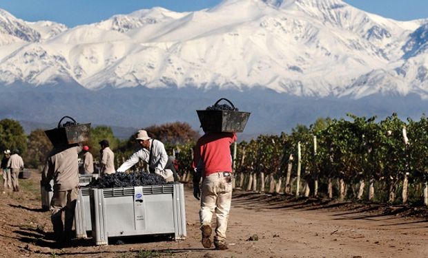 8 de octubre: Día del trabajador rural