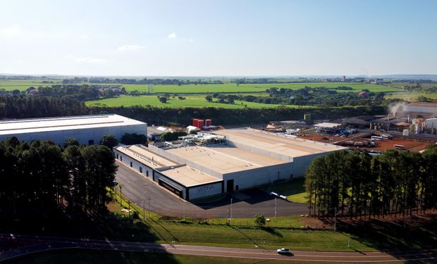 Vittia amplia geração de caixa em 130% e cresce em biológicos no 3º trimestre de 2025