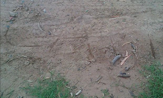 El propietario del campo señaló que encontró en el suelo una inscripción que decía: "Viva La Cámpora". Foto: @matiaslongoni vía Twitter