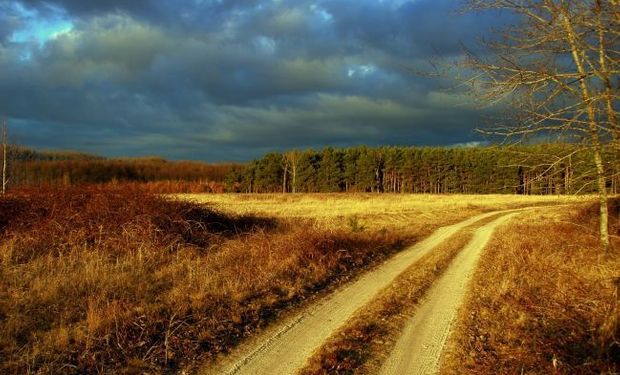 Es función de la Comisión Nacional de Trabajo Agrario determinar condiciones específicas de infraestructura de la vivienda.