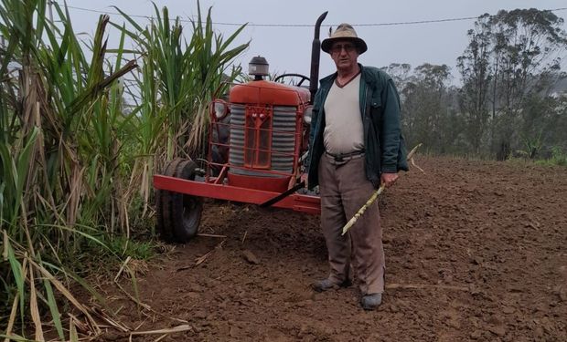 Atualmente, apenas 3,36% dos canaviais têm colheita manual, justamente em áreas não mecanizáveis e/ou pequenas produções, destinadas a alambiques, cana forrageira e cana planta.