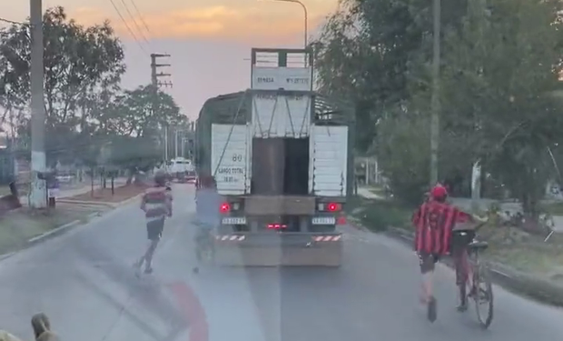 Video viral: viajaba con 31 animales y le abrieron la puerta del camión para robarle el ganado