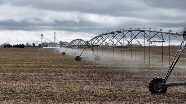 el goyo agropecuaria