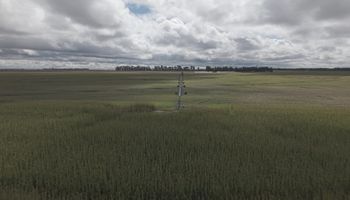 La tecnología que solucionó un grave problema de desechos del campo y duplicó rindes: “Estamos obteniendo 7500 kilos de trigo, 12.000 de maíz de segunda y hasta 15.000 de maíz de primera"