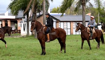 Cien años de pasión por el caballo criollo: la historia de Cabaña La Estrella 