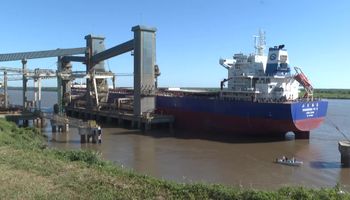 Primer envío de trigo a China: destacaron la inauguración de un nuevo flujo comercial con el embarque de 65 mil toneladas