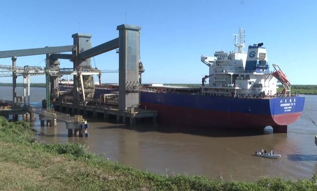 Primer envío de trigo a China: destacaron la inauguración de un nuevo flujo comercial con el embarque de 65 mil toneladas