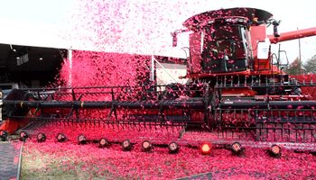 Una nueva generación llegó a Expoagro: los lanzamientos de cosechadoras, tractores y pulverizadoras que buscan revolucionar el mercado