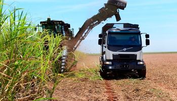 Volvo Trucks: nuevas configuraciones y máxima eficiencia para el agro 