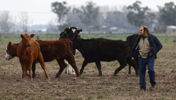 "Hay muchos productores que no quieren que vuelva el kirchnerismo", relata un productor en la previa a las elecciones