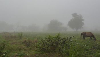 Regresarán las lluvias