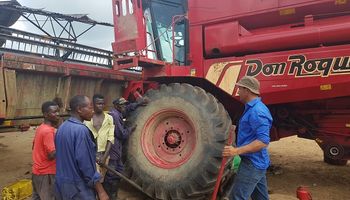Buscan profesionales del agro para ir a trabajar a Sierra Leona: qué requisitos hay