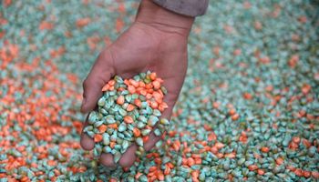 El instrumento que se disparó en el agro: por qué rompen récords en 2025