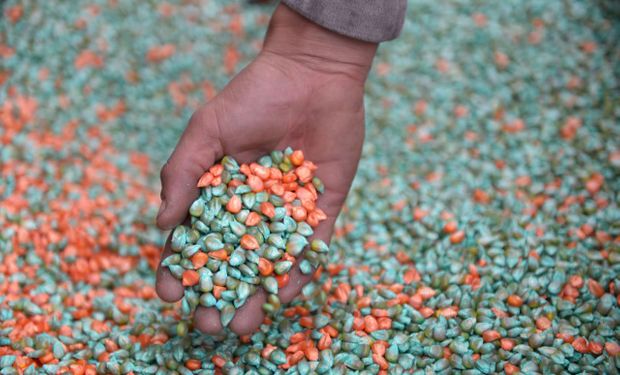 El instrumento que se disparó en el agro: por qué rompen récords en 2025