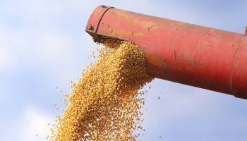 Informe del USDA: los datos destacados del último relevamiento de 2019