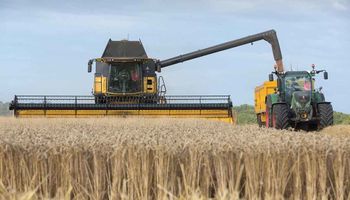 Stocks, rindes y cosecha: los datos relevantes del informe del USDA para soja, trigo y maíz