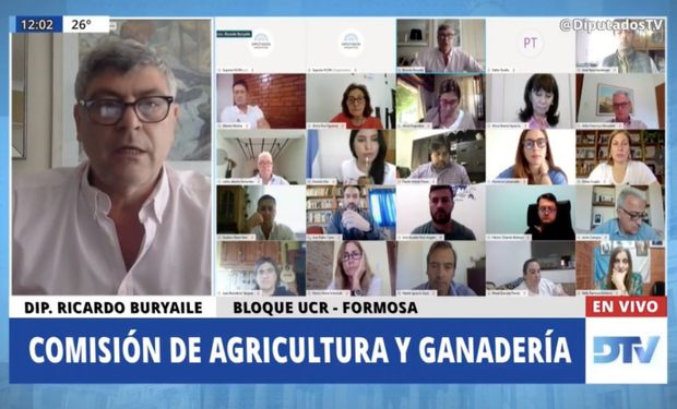 Tras un empate técnico, se frenó en Diputados la creación de un Observatorio Nacional de Agroquímicos: cómo votó cada partido