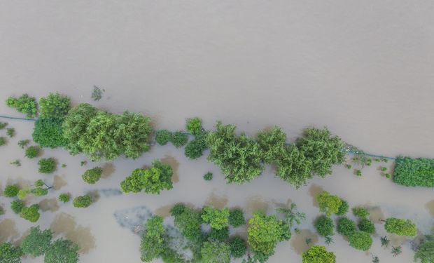 El fuerte despliegue de los excesos hídricos en el campo y el detalle de cómo sigue el tiempo