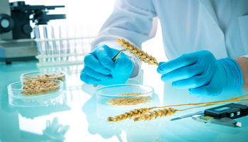 Los números del mercado de biológicos y el año en el que igualarán a los agroquímicos: en Argentina hay más de 130 empresas con un mercado de US$ 124 millones que crece a más del 10% anual
