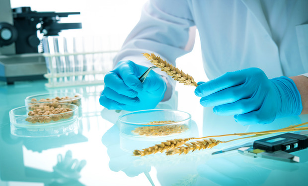 Los números del mercado de biológicos y el año en el que igualarán a los agroquímicos: en Argentina hay más de 130 empresas con un mercado de US$ 124 millones que crece a más del 10% anual