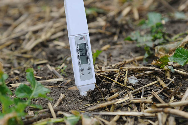 agricultura regenerativa 2025