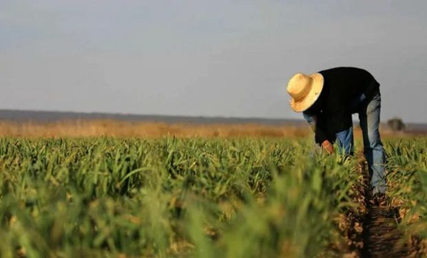 Trabajadores rurales: firman un aumento salarial del 75% cuatrimestral con los semilleros