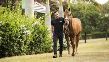 Wesley Safadão usa cavalo de R$ 5 milhões para tratar transtorno de ansiedade