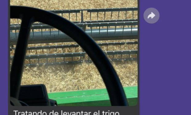 ¿Con calor? El whatsapp viral que muestra el hartazgo de los productores