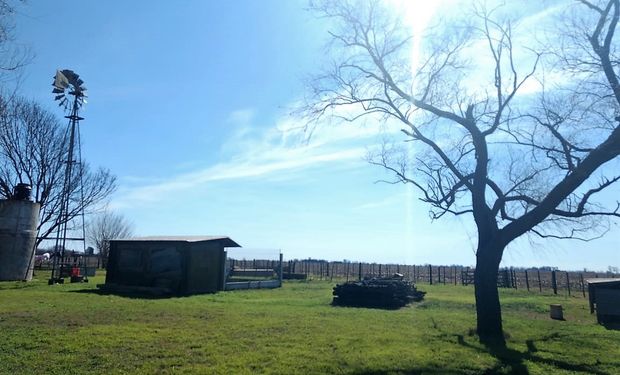 Día de la Primavera: qué dice el pronóstico del tiempo