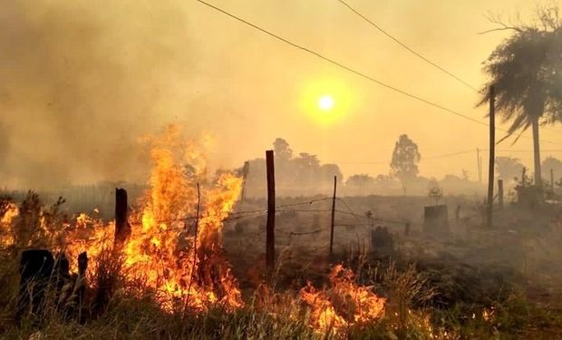 Misiones: declaran la emergencia agropecuaria y lanzan créditos para productores 