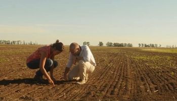 Superalimento: cosechan la semilla más chica del mundo en plena Pampa Húmeda y son caso de éxito