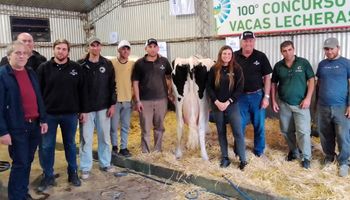 Sorpresa con más de 150 litros: una vaca consiguió una corona de privilegio 