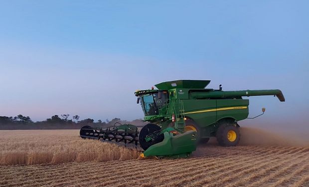 El lote se trilló el 12 de octubre. Foto: Capitanich Agropecuaria