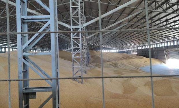 El Gobierno celebra el mayor decomiso de granos de la historia: van a subastar la mercadería