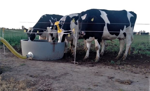 Los tambos deben pensar en el “plan hídrico” para el verano 