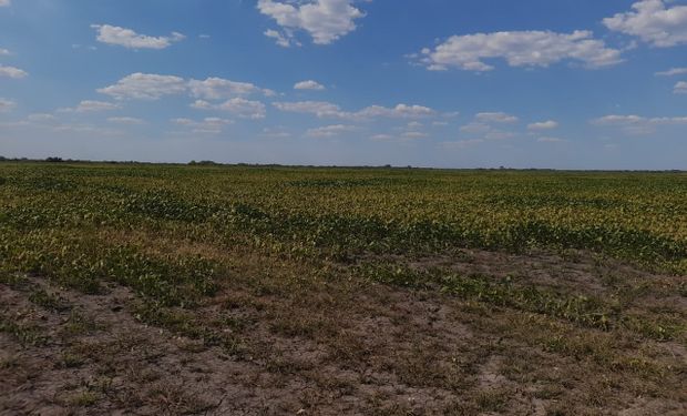 Pronóstico hasta enero: la región centro recibirá pocas lluvias y se esperan temperaturas extremas