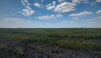 La oposición cruzó a Bahillo y pidió que declare la emergencia agropecuaria por la sequía