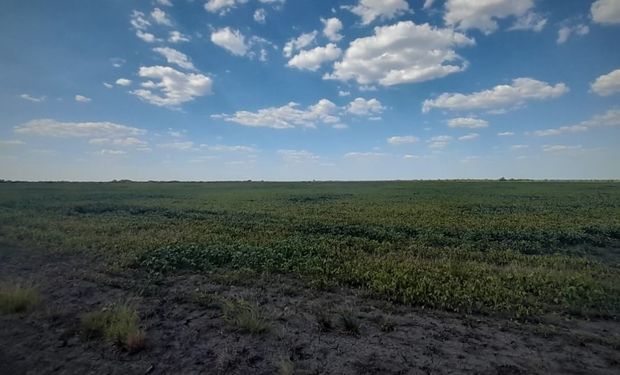 La oposición cruzó a Bahillo y pidió que declare la emergencia agropecuaria por la sequía
