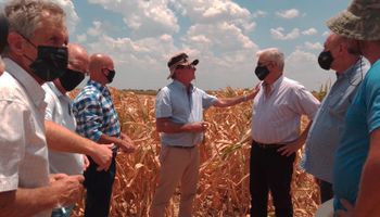 Santa Fe perdería el 35 por ciento de la campaña agrícola