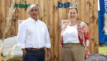 El acceso a mercado de capitales y las garantías como soluciones financieras
