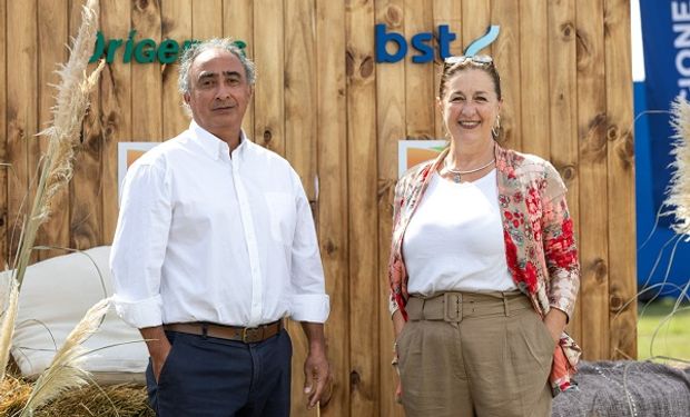 El acceso a mercado de capitales y las garantías como soluciones financieras