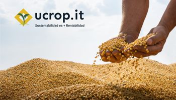 Ucrop.it lanzó una aplicación que permite registrar y verificar el uso de semillas sustentables