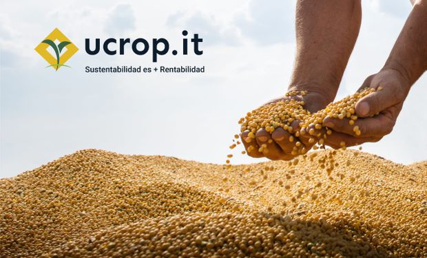 Ucrop.it lanzó una aplicación que permite registrar y verificar el uso de semillas sustentables
