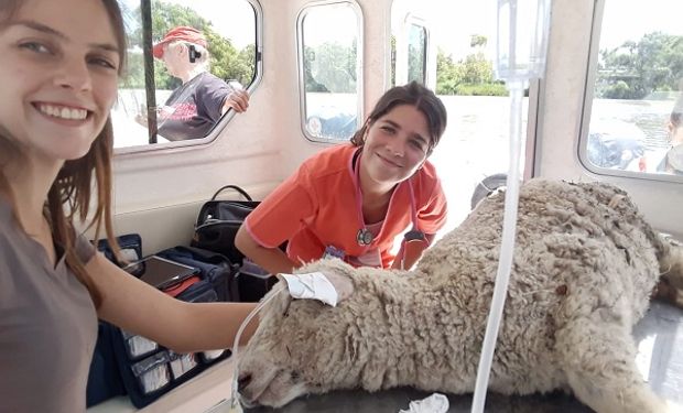 Leila, la veterinaria isleña a domicilio