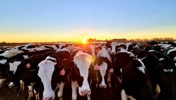Congreso de la cadena láctea: los ejes serán el mercado internacional, presente del sector y el futuro de la lechería