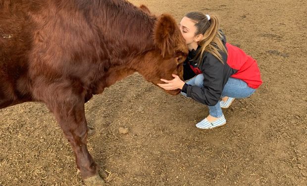 Un Angus de 700 kg como mascota: posa para la cámara y la rompe en las redes junto a una joven cordobesa