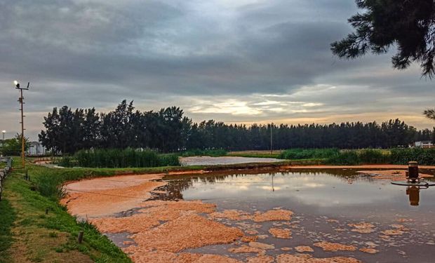 La Policía Ecológica sancionó a una empresa avícola por la descarga de desechos